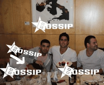 Drake gay picture